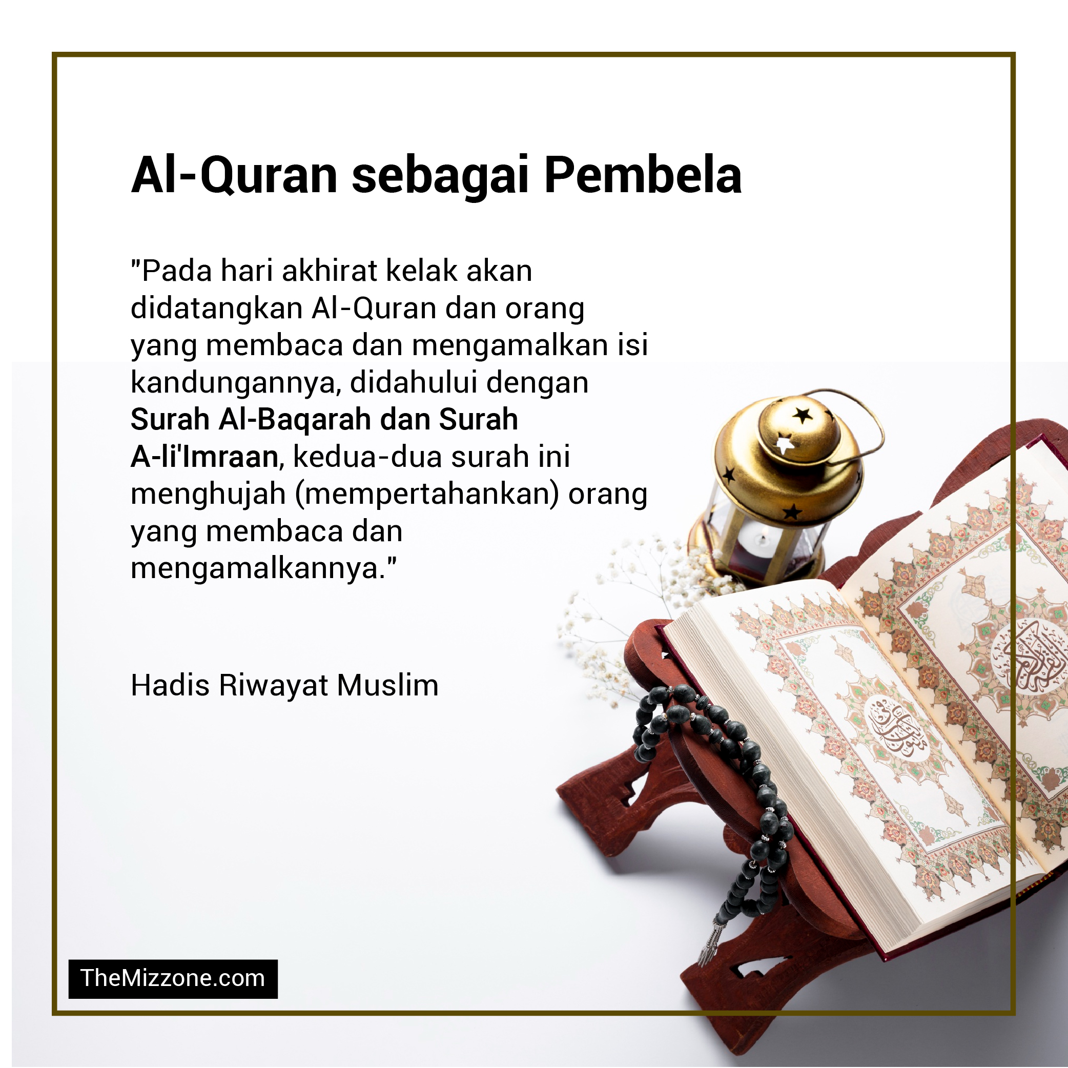 (Bergambar) 1001 Koleksi Ayat Dan Surah Al-Quran - Rumi - The Mizzone