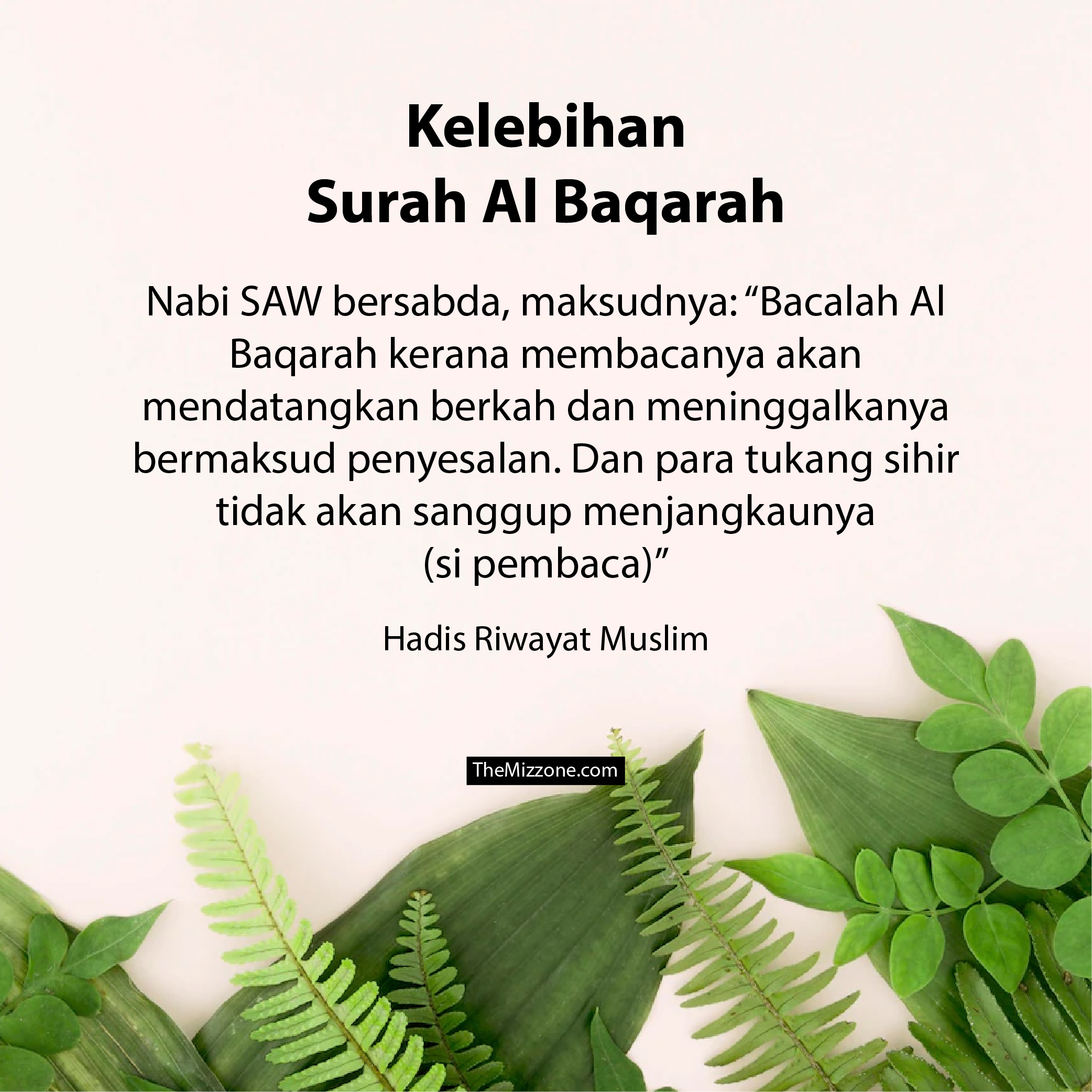 (PDF) Surah Al Baqarah Ayat 284-286 Dan Terjemahan - The Mizzone